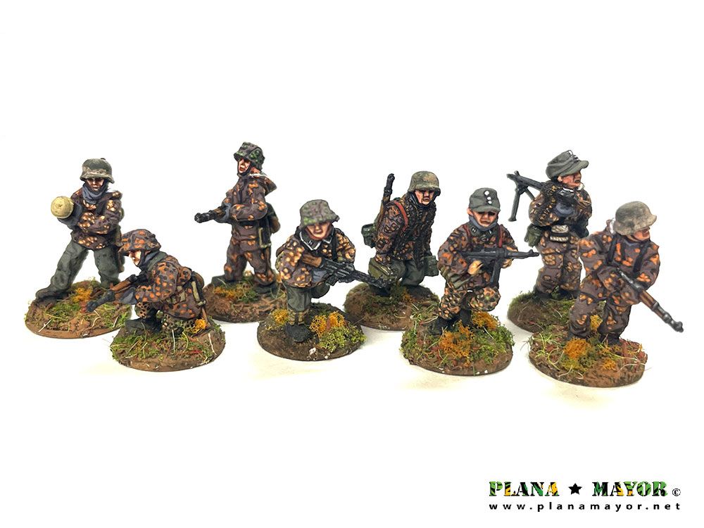 Plana Mayor