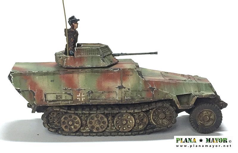 Plana Mayor